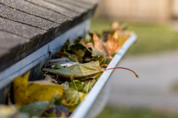 Gutter Cleaning in Centerview, NC by Vamp Building Maintenance