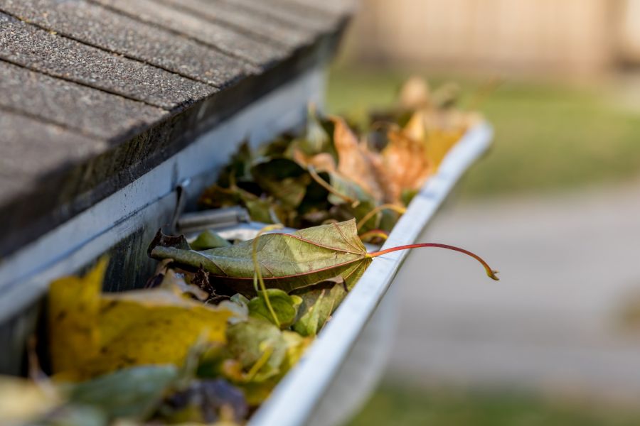 Gutter Cleaning by Vamp Building Maintenance