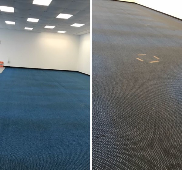 Commercial Carpet Cleaning in Charlotte, NC (1)