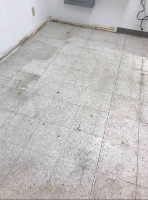 Before & After Floor Strip & Wax in Shelby, NC (1)